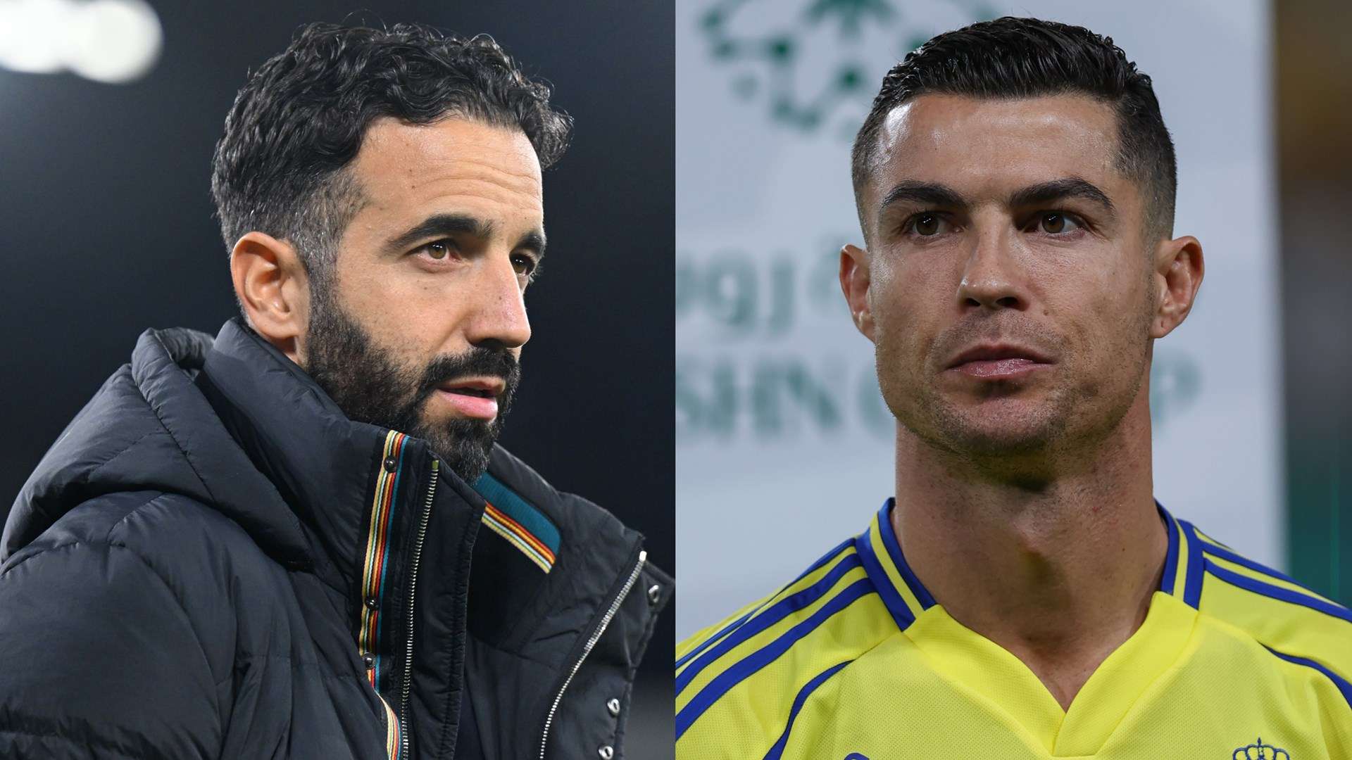 够适应快速 够适应快速